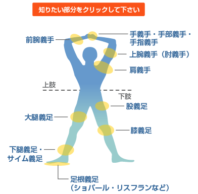 知りたい部分をクリックして下さい。