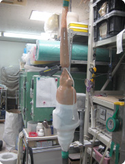 頸椎装具